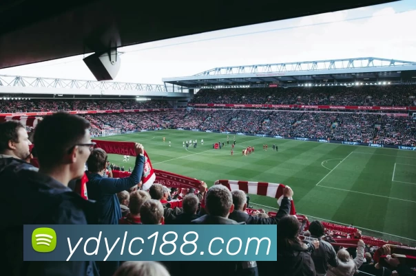 App Interface Preview