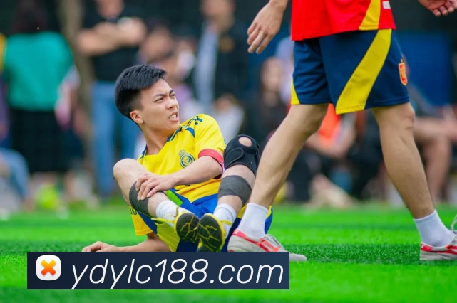 云顶娱乐城官网APP 封面图